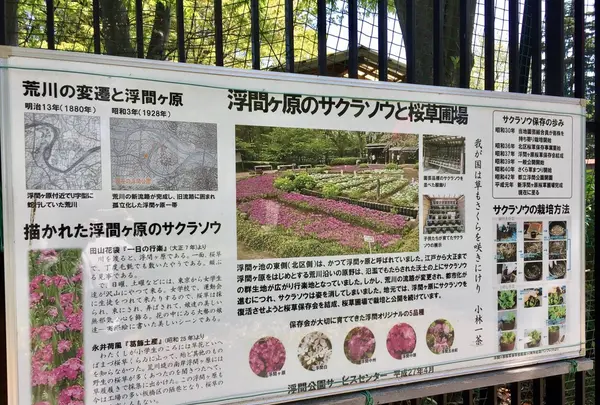 都立浮間公園の写真・動画_image_130426