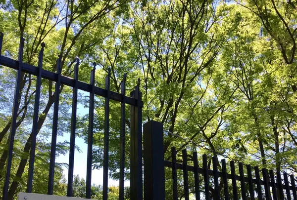 都立浮間公園の写真・動画_image_130427