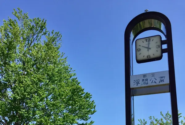 都立浮間公園の写真・動画_image_130428