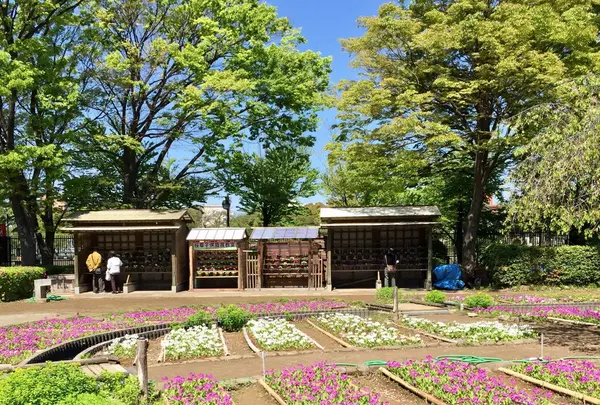 都立浮間公園の写真・動画_image_130430