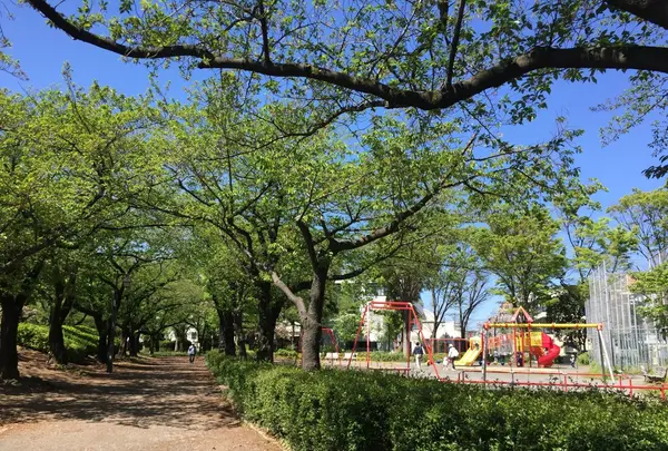 都立浮間公園の写真・動画_image_130431
