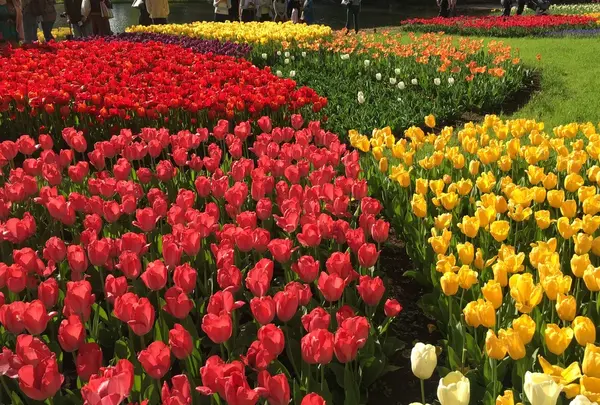 昭和記念公園 渓流広場の写真・動画_image_130452