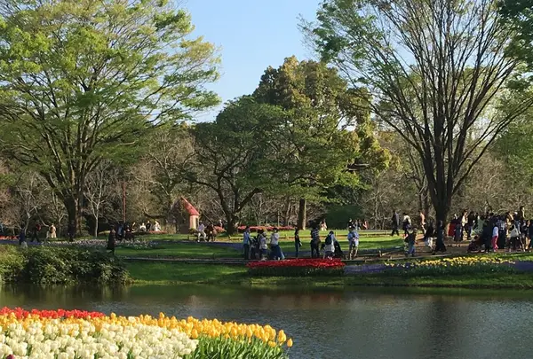 昭和記念公園 渓流広場の写真・動画_image_130453