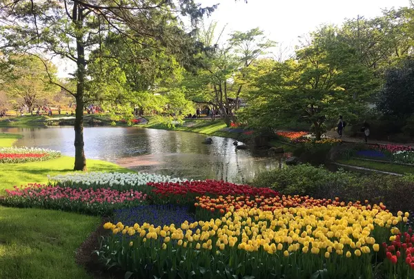 昭和記念公園 渓流広場の写真・動画_image_130454