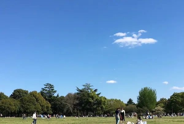 昭和記念公園 みんなの原っぱの写真・動画_image_130456