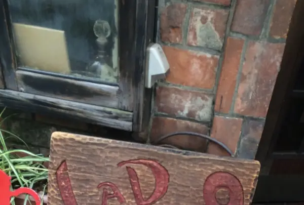 ラドリオの写真・動画_image_130483