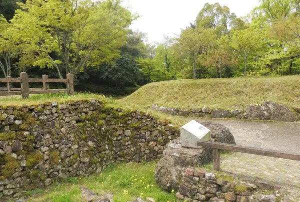 岐阜公園の写真・動画_image_130488