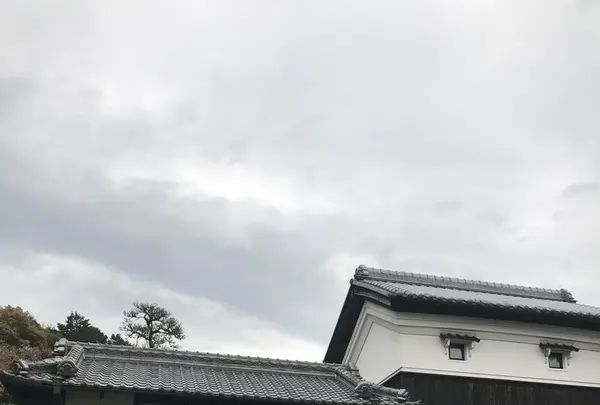 ルレーヴの写真・動画_image_130511