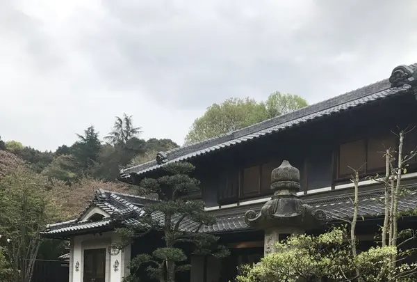 ルレーヴの写真・動画_image_130513