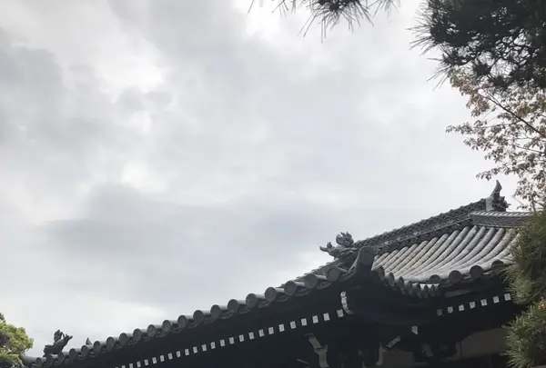 帯解寺の写真・動画_image_130531