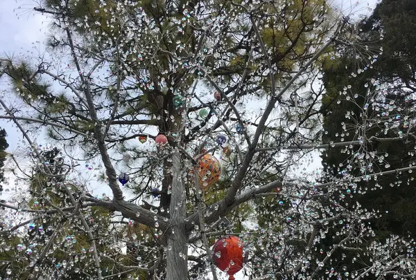 箱根ガラスの森美術館の写真・動画_image_130653