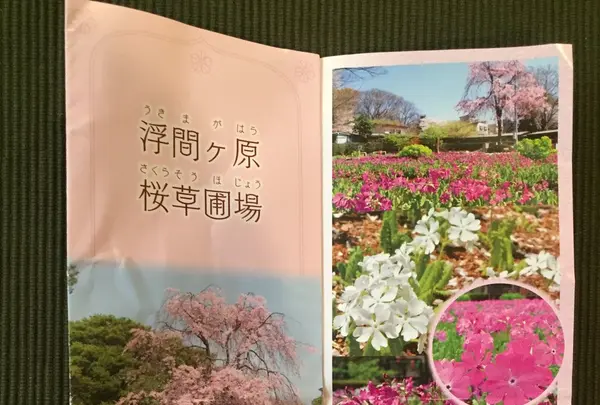 都立浮間公園の写真・動画_image_130721