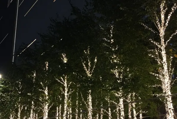 スターフィールド COEX MALL/スターフィールド コエックスモール/스타필드 코엑스몰の写真・動画_image_130748