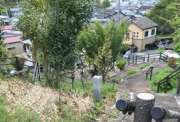 坂本家墓所の写真・動画_image_130812