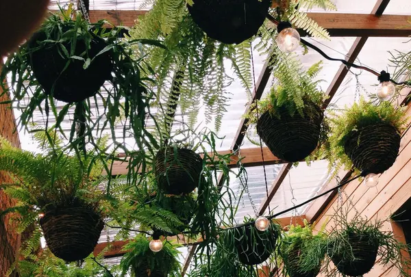 kimidoriの写真・動画_image_130897