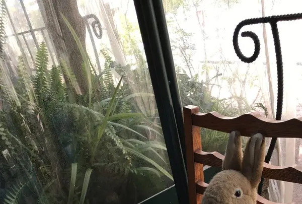 ピーターラビットガーデンカフェ 自由が丘本店の写真・動画_image_130995