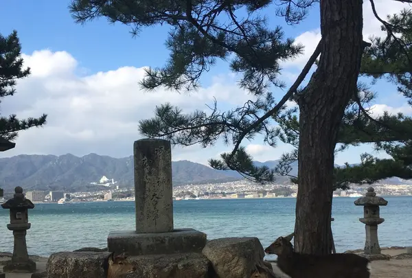 厳島神社の写真・動画_image_131036