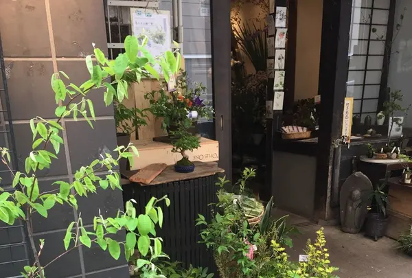 野の花 司の写真・動画_image_131045
