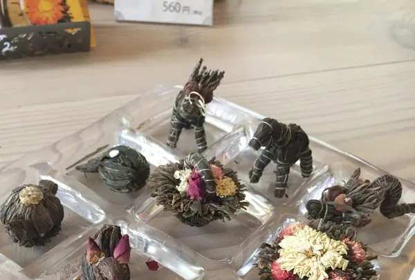 CROESUSの写真・動画_image_131053