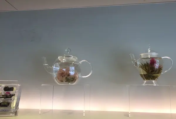 CROESUSの写真・動画_image_131055