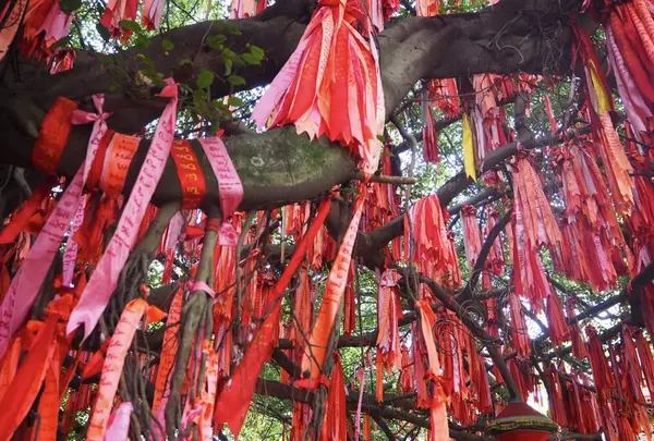 Suoi Tien Amusement Parkの写真・動画_image_131111