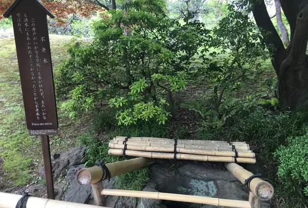 小石川後楽園の写真・動画_image_131130