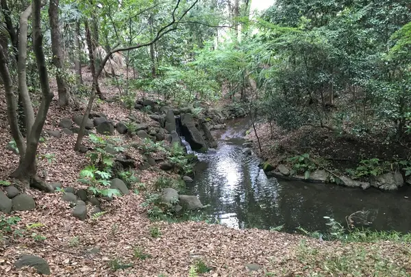 小石川後楽園の写真・動画_image_131132