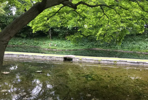 小石川後楽園の写真・動画_image_131133