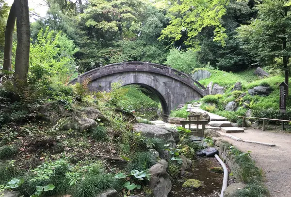 小石川後楽園の写真・動画_image_131134