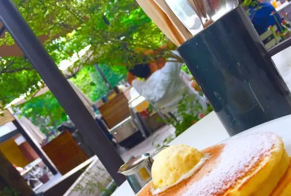 crisscross （クリスクロス）の写真・動画_image_131136