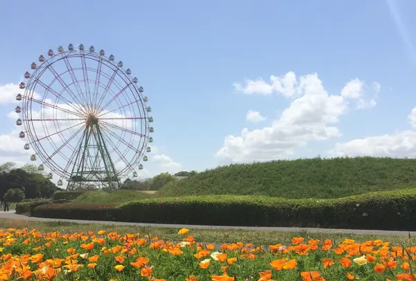 国営ひたち海浜公園の写真・動画_image_131247