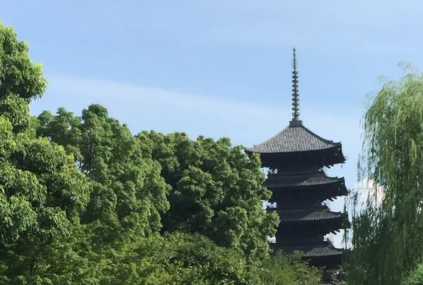 東寺（教王護国寺）の写真・動画_image_131267