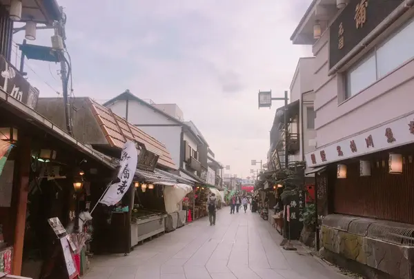 柴又帝釈天参道の写真・動画_image_131348