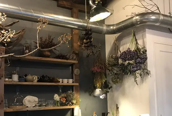 cotito ハナトオカシトの写真・動画_image_131374