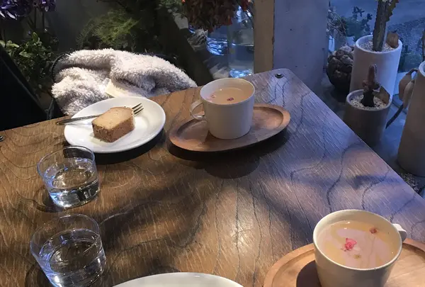 cotito ハナトオカシトの写真・動画_image_131376