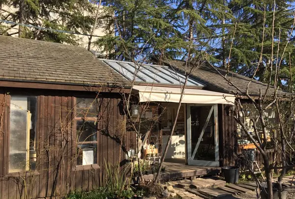 くるみの木 ZAKKA cageの写真・動画_image_131396