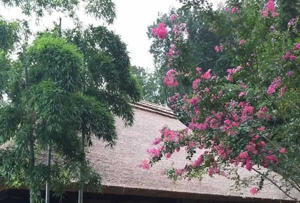 薬師池公園の写真・動画_image_131484