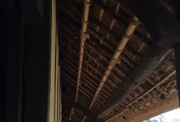 薬師池公園の写真・動画_image_131485