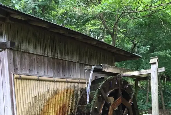 薬師池公園の写真・動画_image_131486