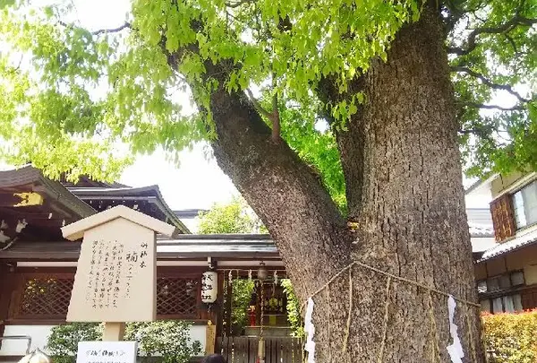 清明神社の写真・動画_image_131497