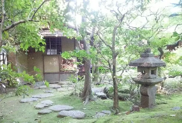 高桐院の写真・動画_image_131510