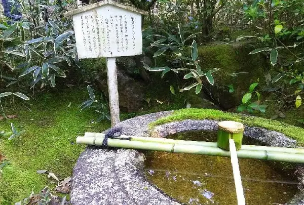 高桐院の写真・動画_image_131512