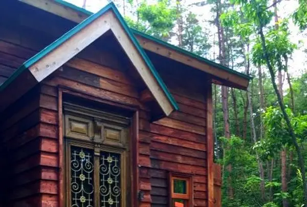 Good Old Land （グッドオールドランド）の写真・動画_image_131576