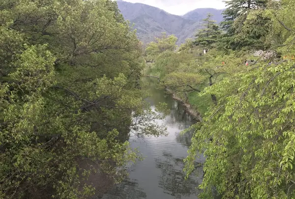 上田城の写真・動画_image_131620