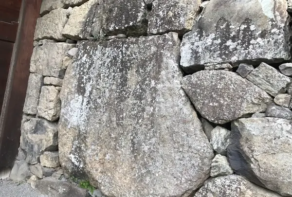 上田城の写真・動画_image_131621