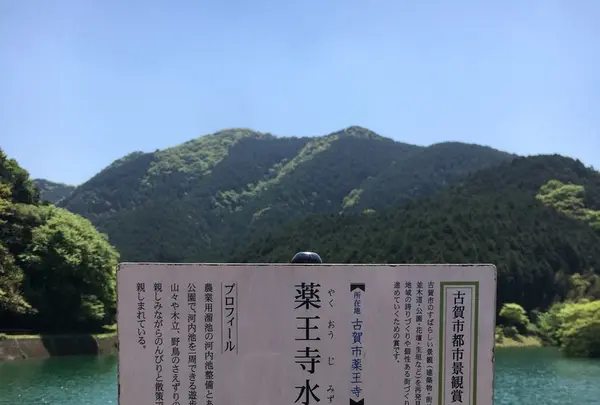 薬王寺水辺公園の写真・動画_image_131662