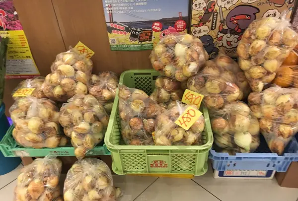 サムソンホテルの写真・動画_image_131806