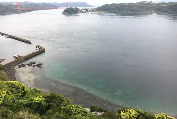 サムソンホテルの写真・動画_image_131809