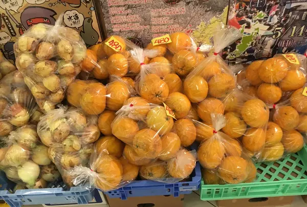 サムソンホテルの写真・動画_image_131810