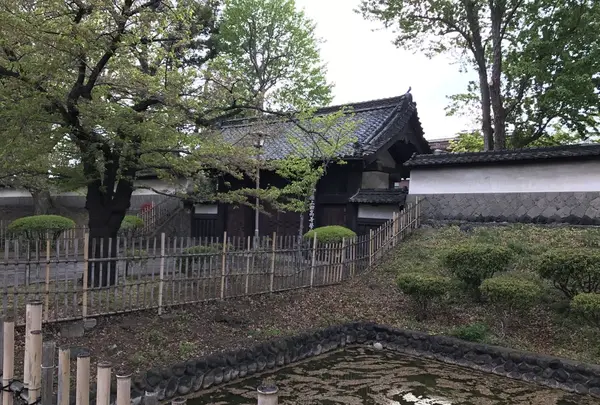 長野県上田高校の写真・動画_image_131924